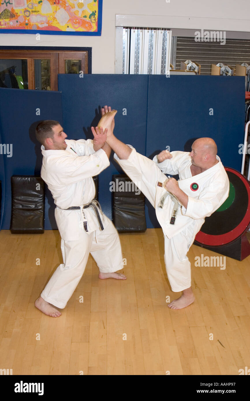 karate instructors demonstrating high kick and block Stock Photo Alamy