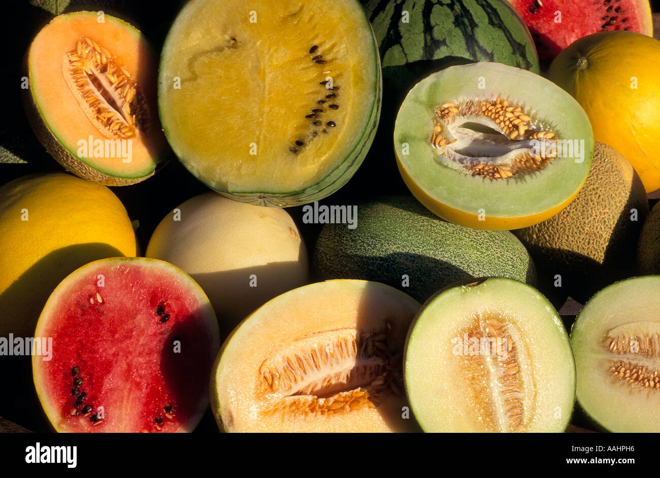 Melons grown as part of Ord River irrigation project, Kununurra,  East Kimberley, Western Australia Stock Photo