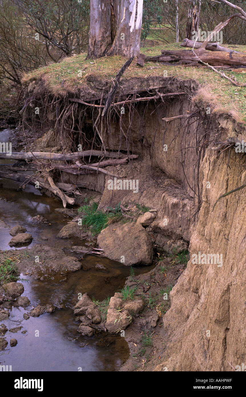 Creek erosion, Victoria, Australia Stock Photo 7220766 Alamy