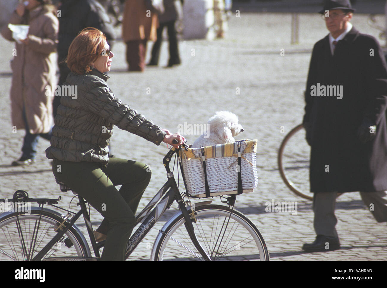 Old lady poodle dog hi-res stock photography and images - Alamy
