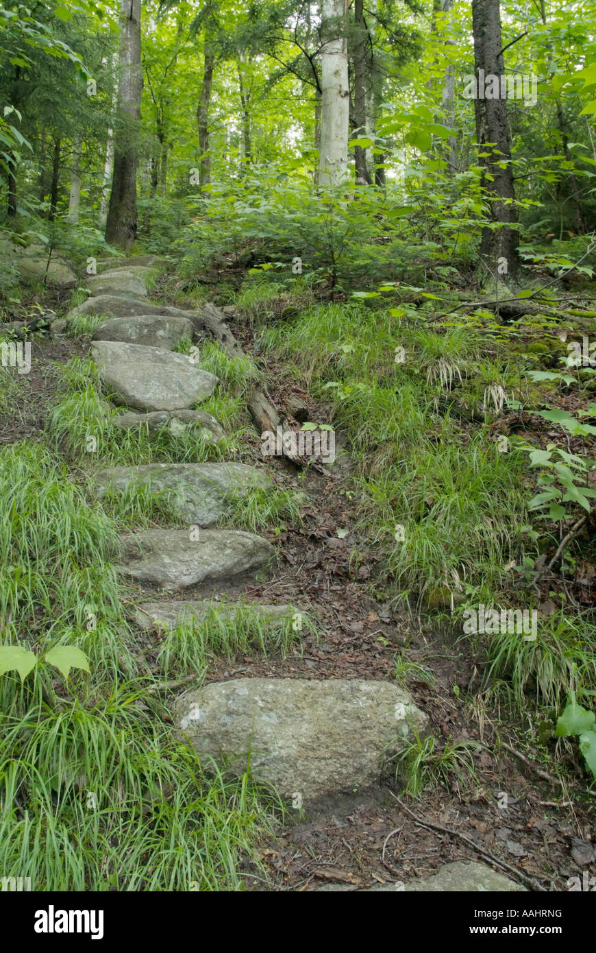 Stone Steps on Skookumchuck Trail in the White Mountains New Hampshire