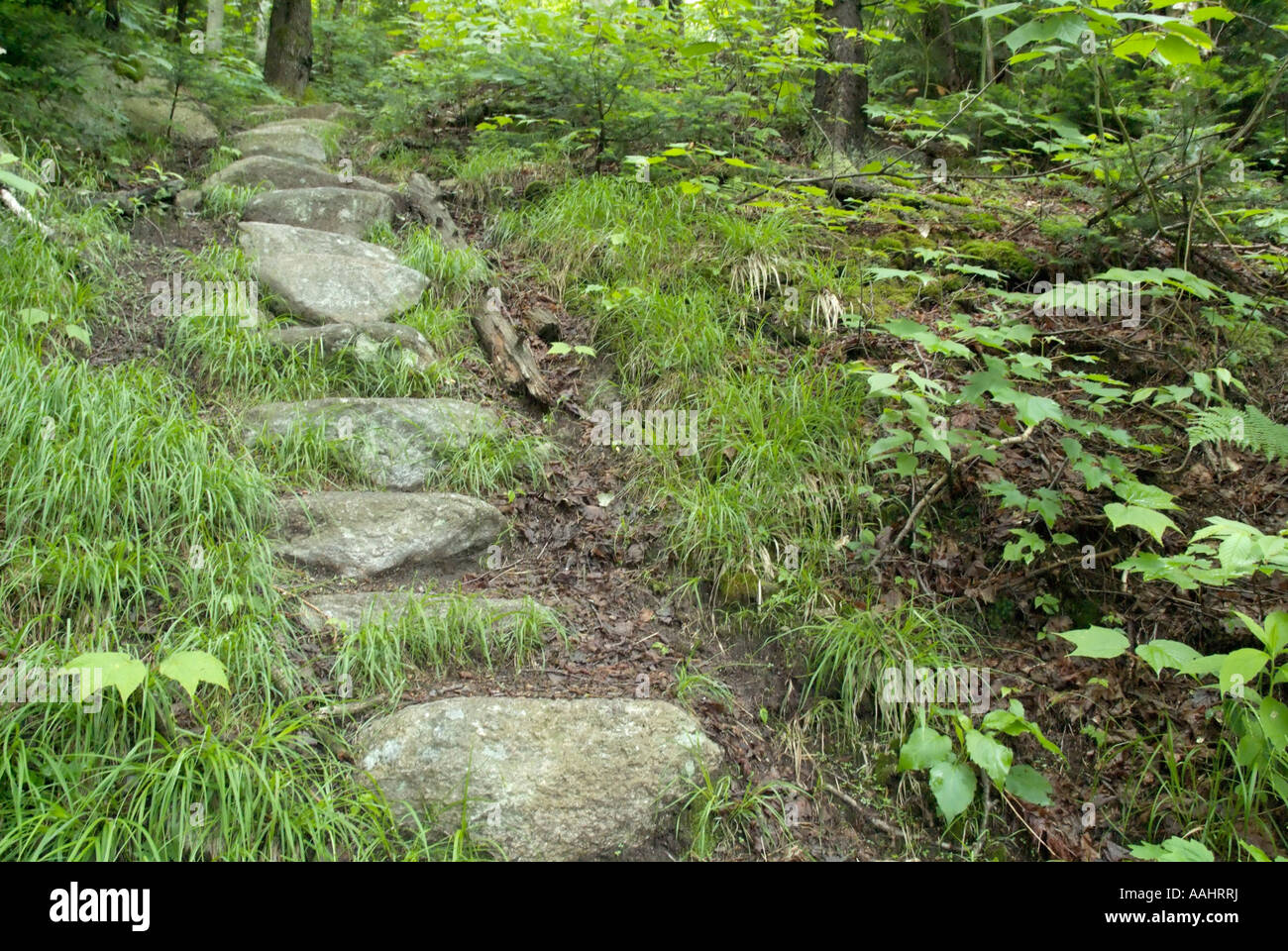 Stone Steps on Skookumchuck Trail in the White Mountains New Hampshire