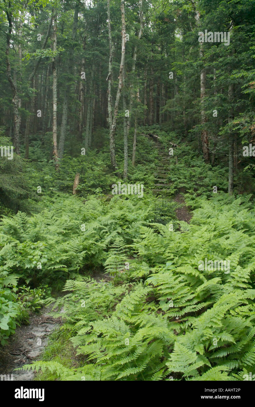 Skookumchuck trail hires stock photography and images Alamy