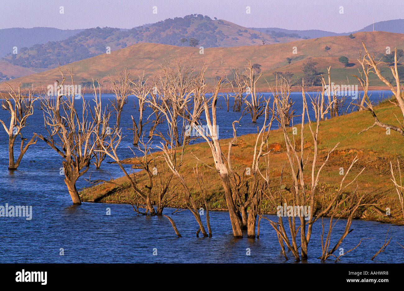 Lake Hume Australia Stock Photo Alamy