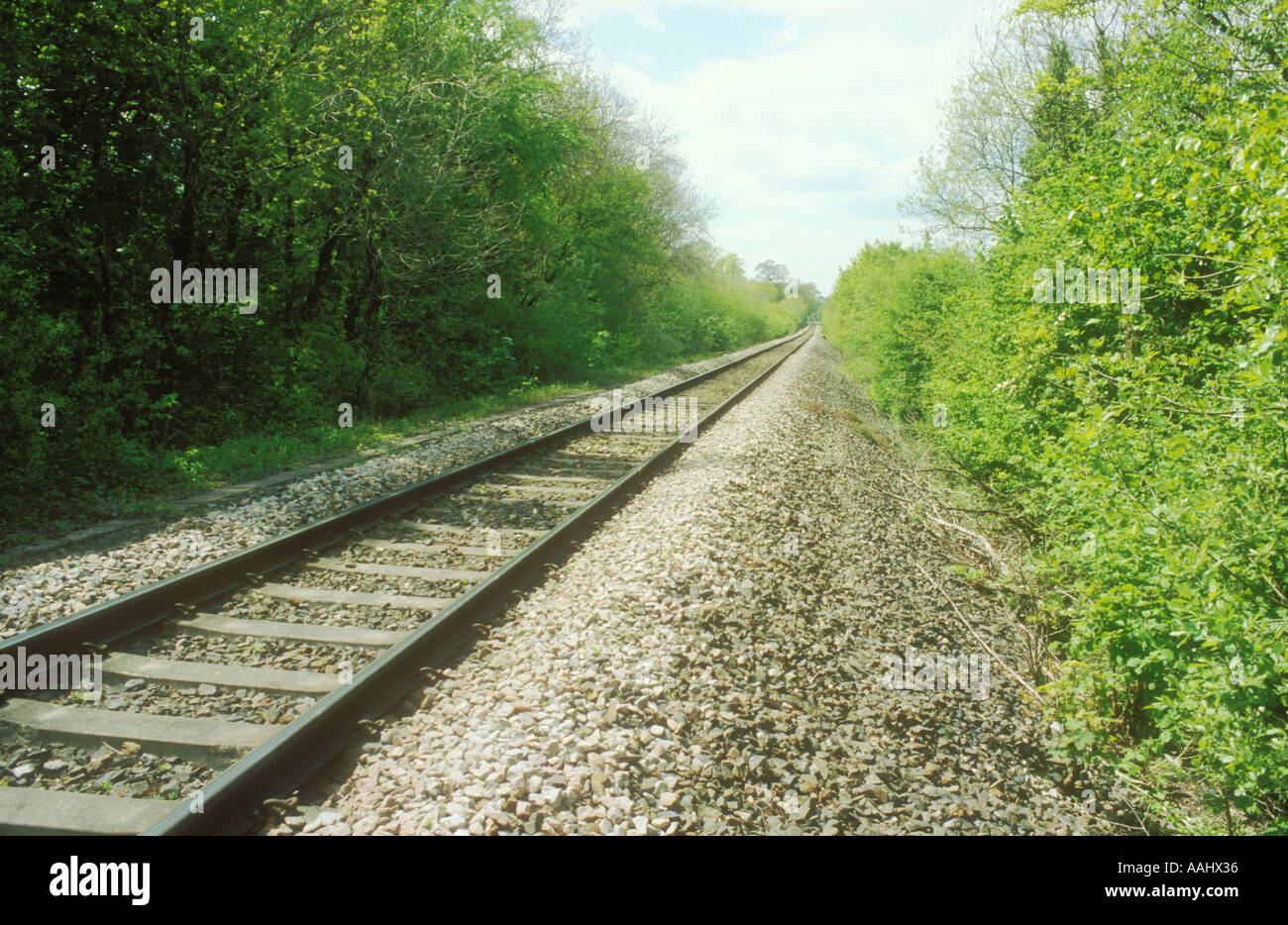 Railway line through woodland Stock Photo