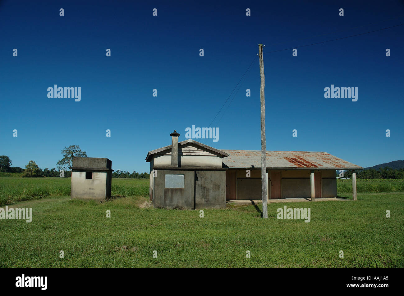 Old cane cutters gang unused now because of mechanization