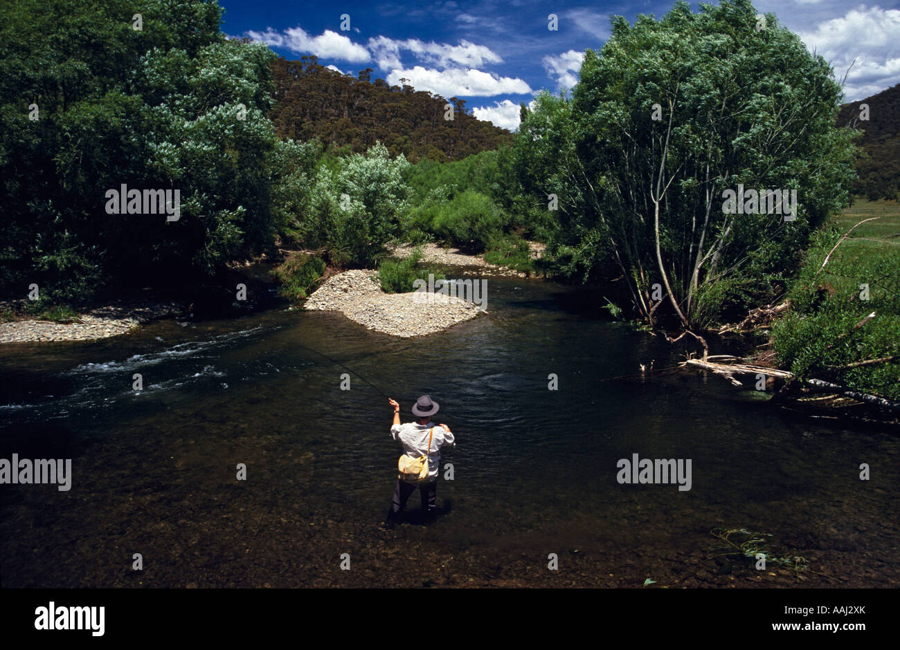 Fly fishing, Nariel Creek, near Corryong, NE , Victoria, Australia