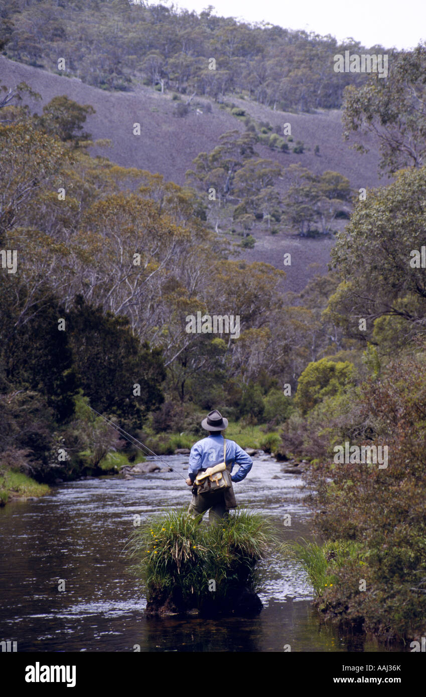 Fly fishing, Cobungra River, , NEVictoria, Australia Stock Photo Alamy