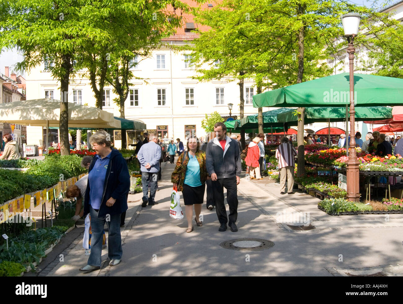 Central Market Ljubljana Slovenia Stock Photo Alamy