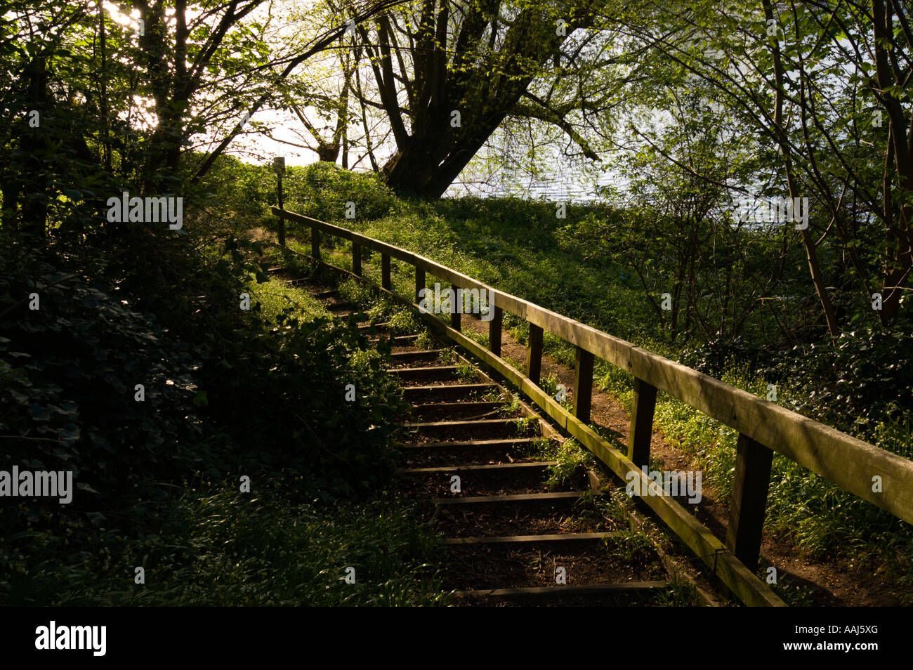 Riverside footpath steps beside the Tweed in Kelso Scottish Borders UK ...