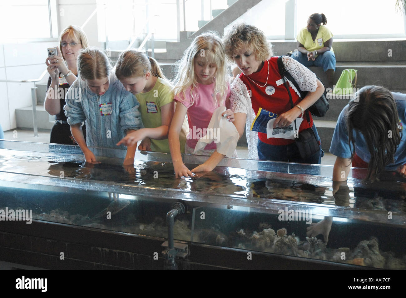 touch tank at Charleston Aquarium Charleston, South Carolina Stock