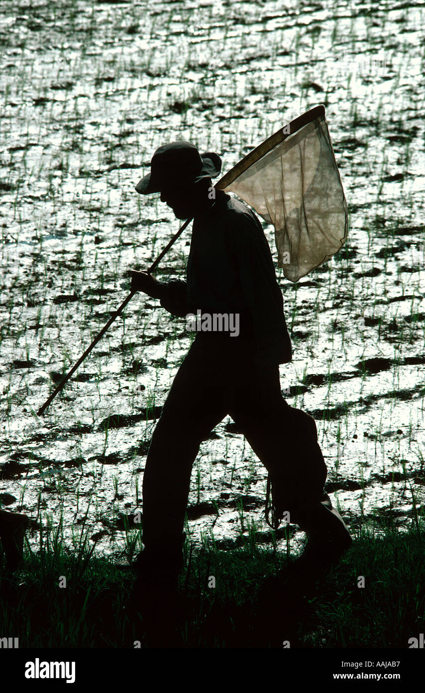 Butterfly catcher hi-res stock photography and images - Alamy