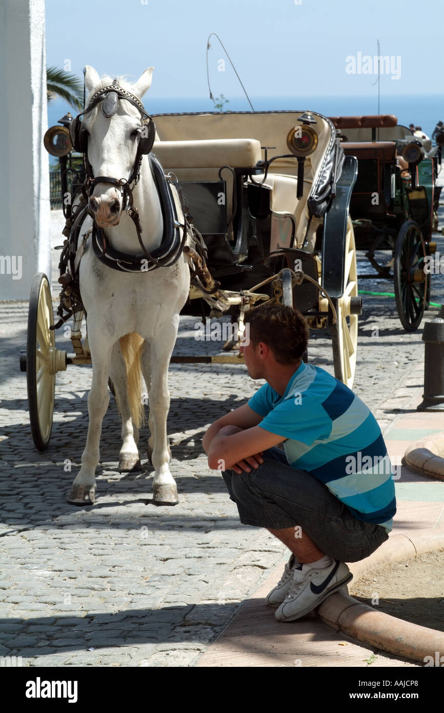 taxi driver waiting with his horse and carriage for a customer. Nerja town centre southern Spain Europe EU Stock Photo