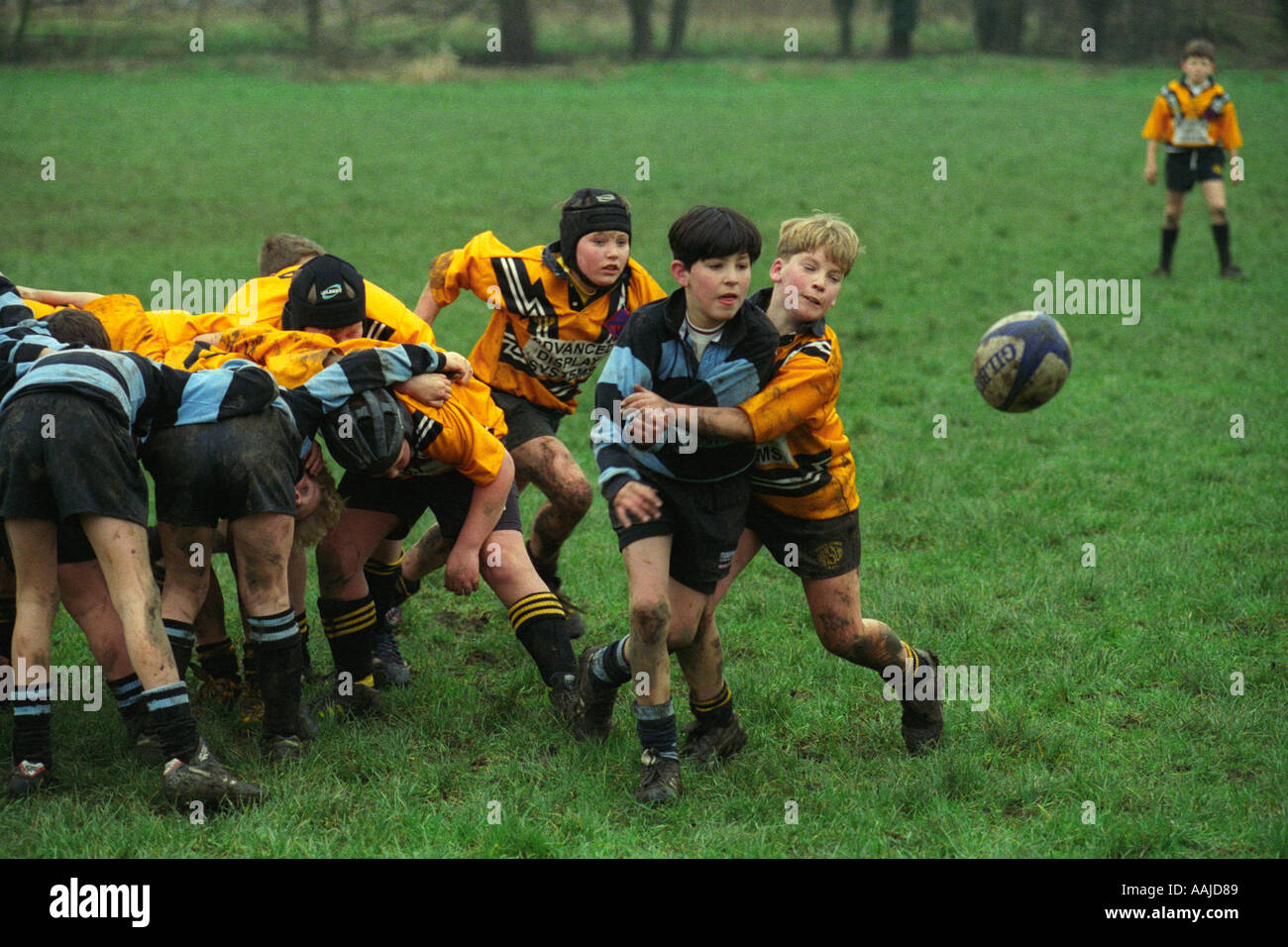 Boys passing ball from scrum in mini rugby match Stock Photo