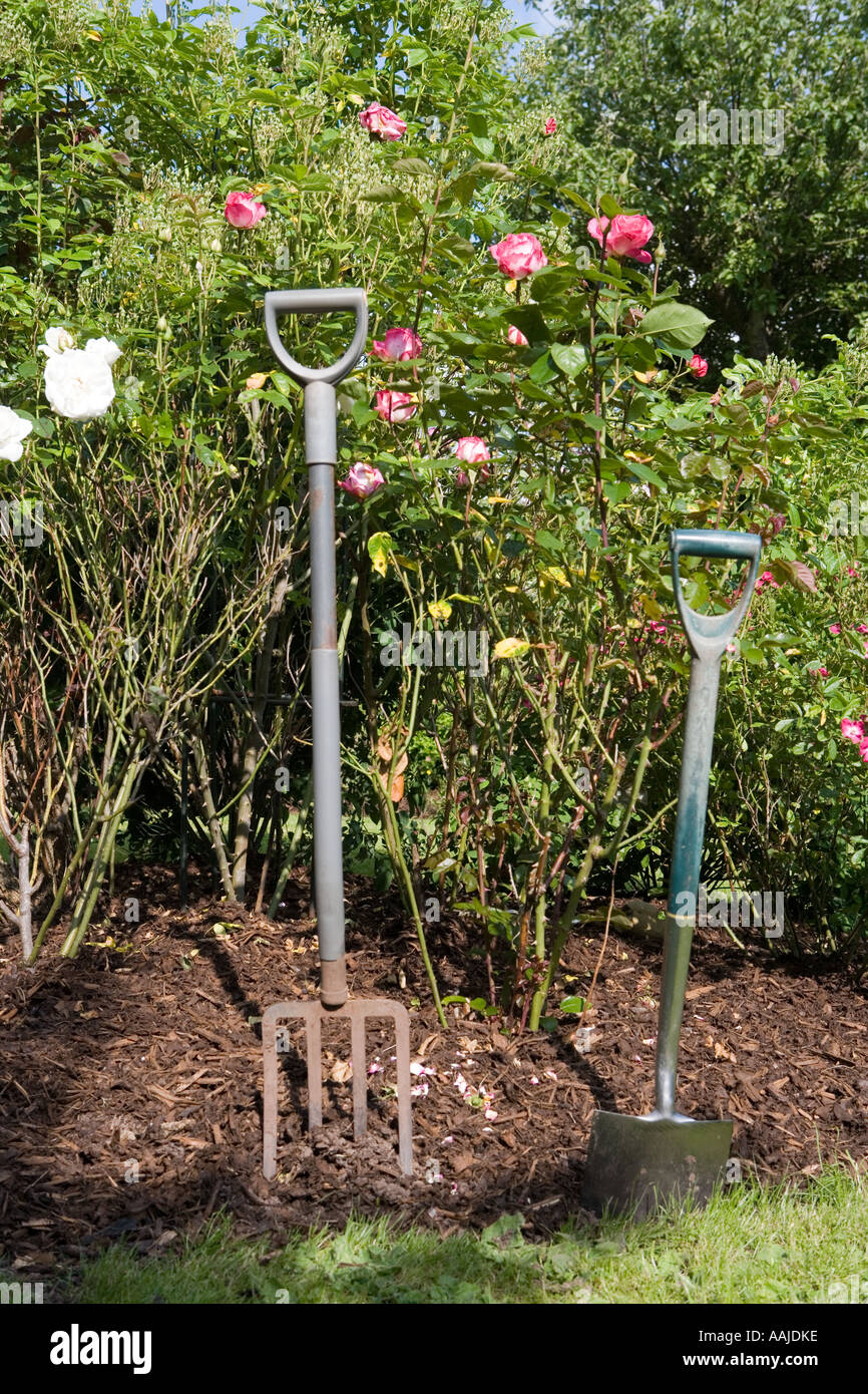 Garden spade and fork standing side by side Stock Photo Alamy