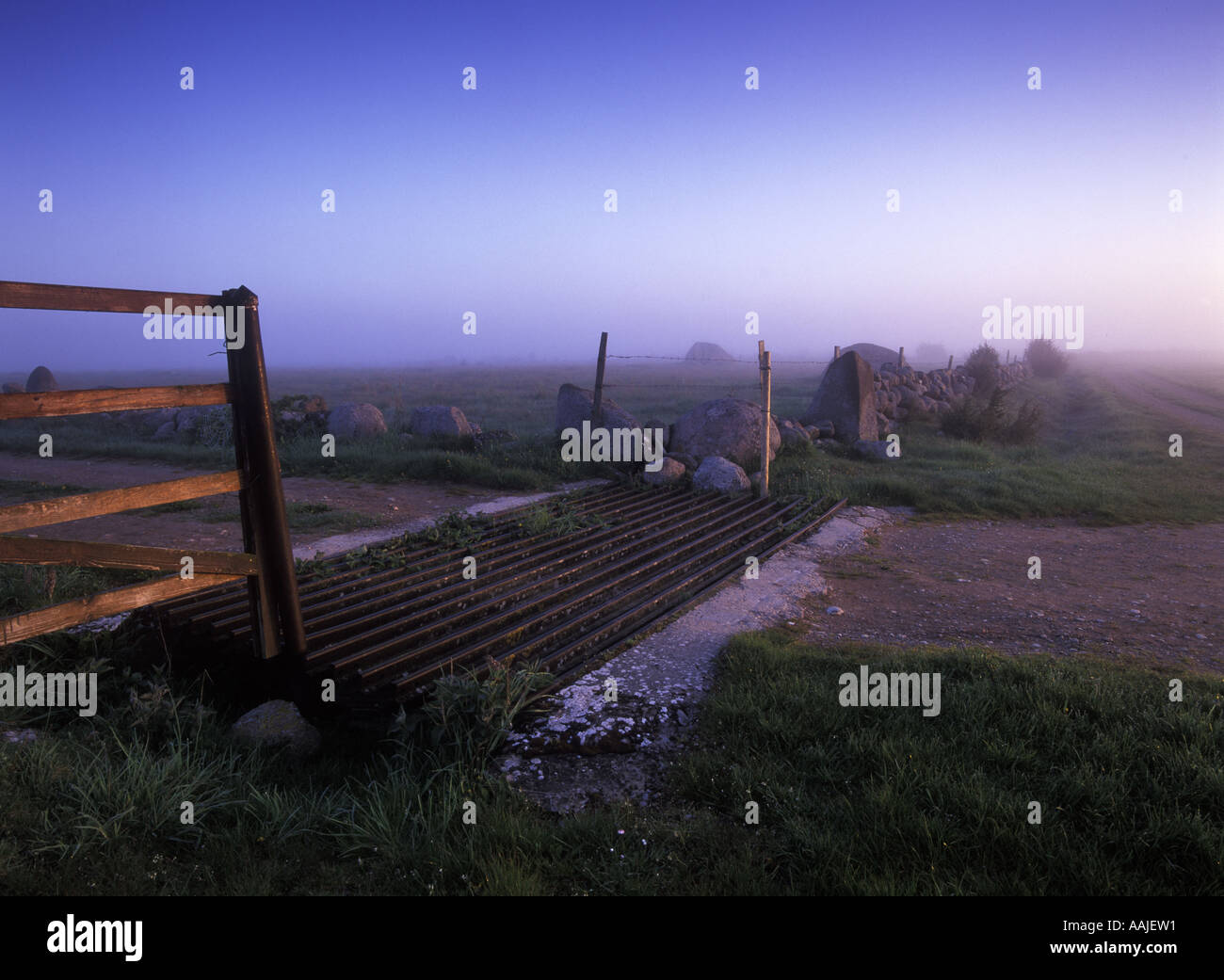 Cattle grid in pasture landscape at dawn Stock Photo - Alamy