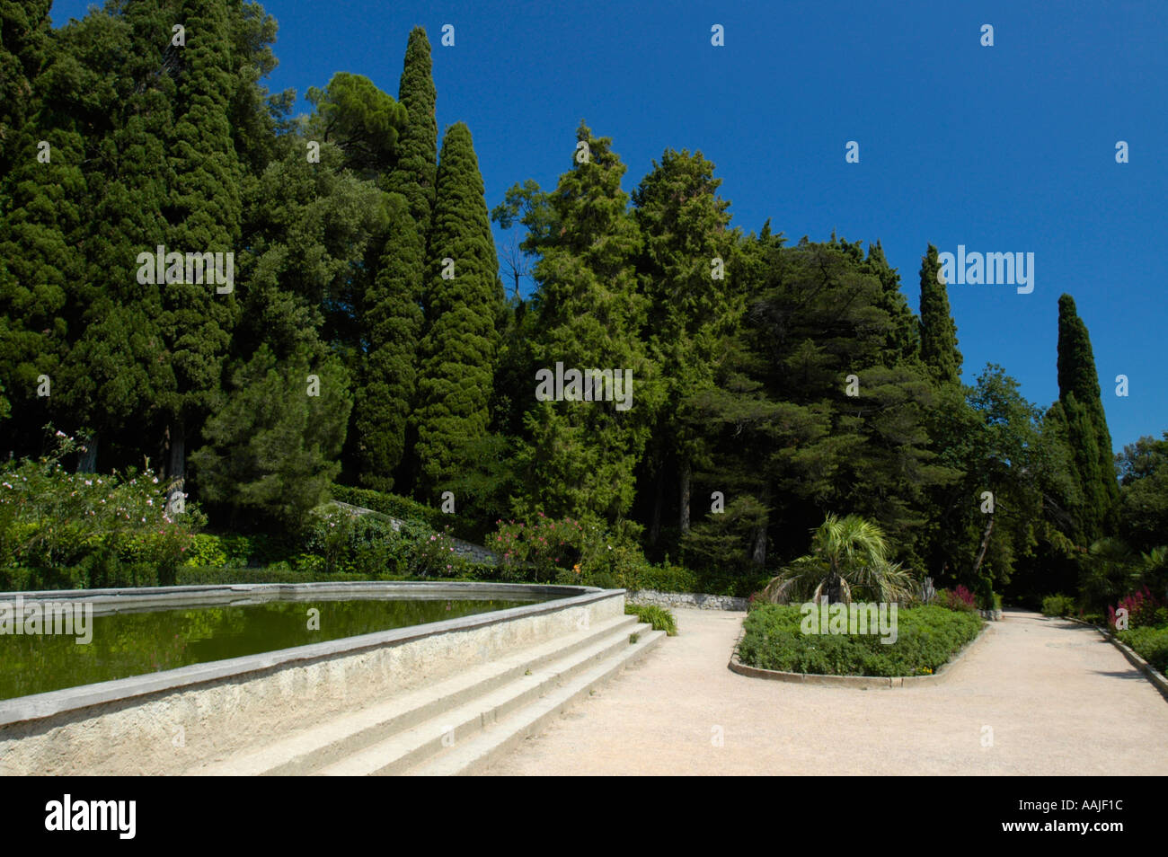 Crimea, world famous botanical garden of Nikita Stock Photo