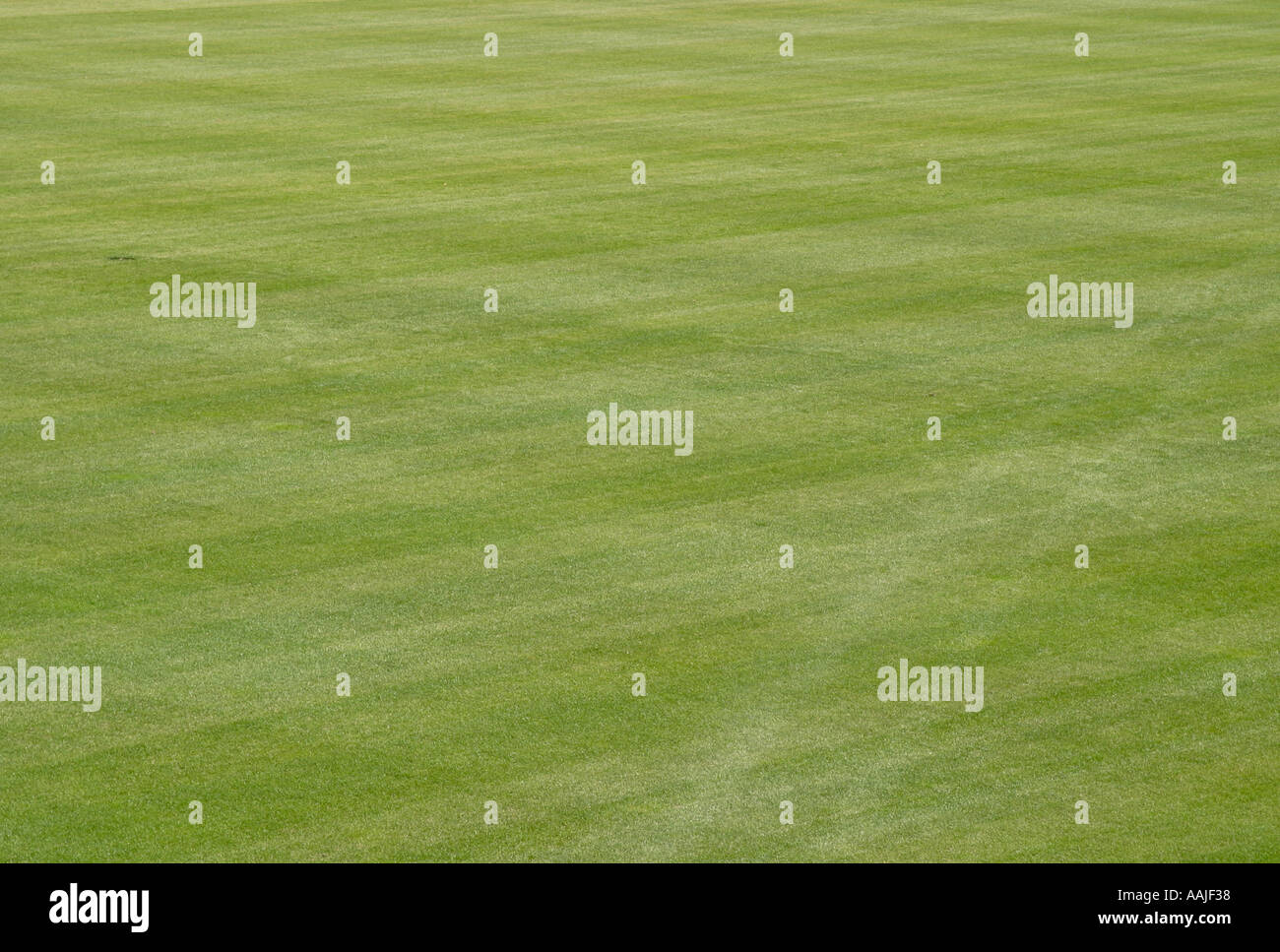 Partial view of a green grassy football pitch Stock Photo