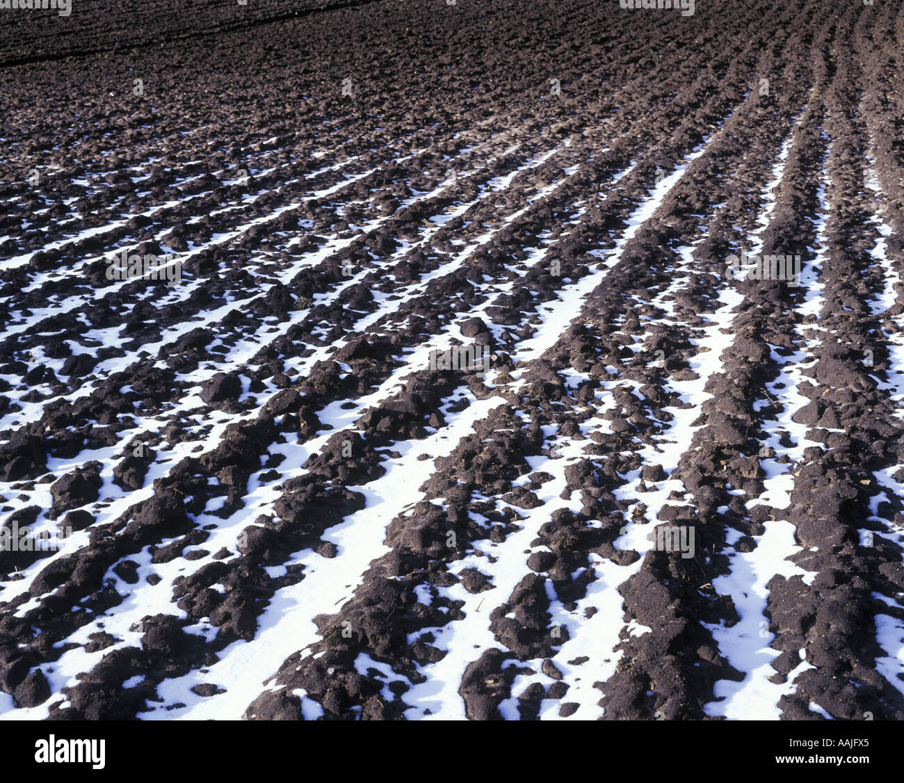 Plough furrows in early spring Stock Photo - Alamy