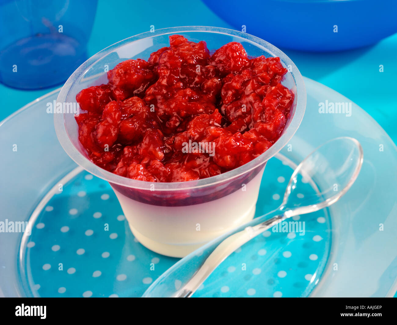 RASPBERRY PANNA COTTA Stock Photo