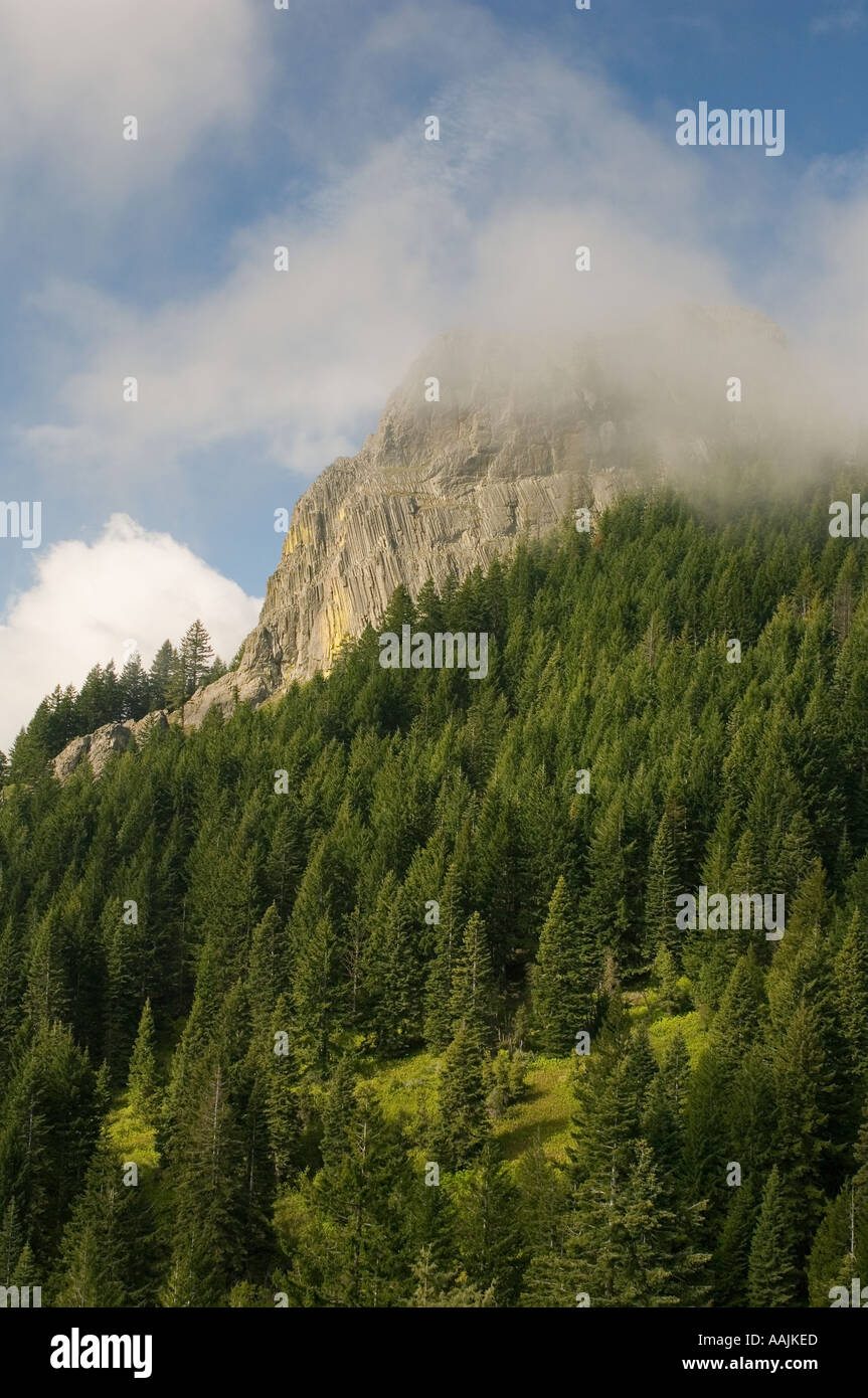 PILOT ROCK, Ancient Volcanic Plug, 5908 feet high in morning fog