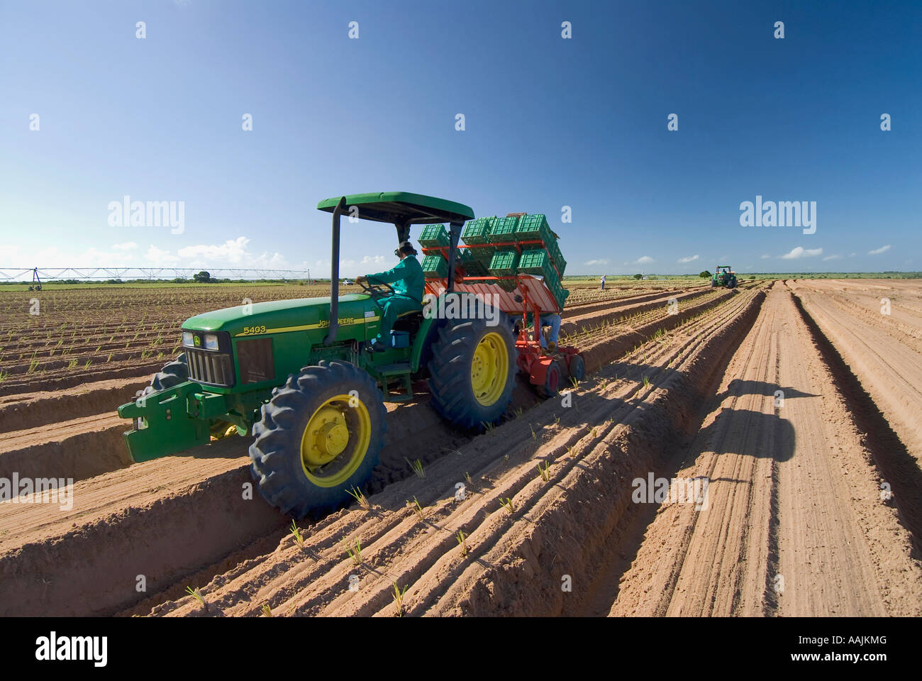 TRACTOR PLOWING Stock Photo