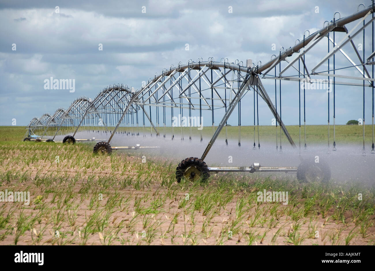 agricultural sprinkler irrigation equipment Stock Photo Alamy