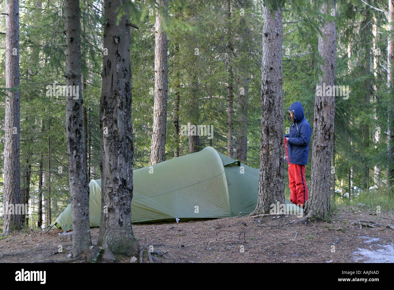 camping with tent in the forest Stock Photo - Alamy