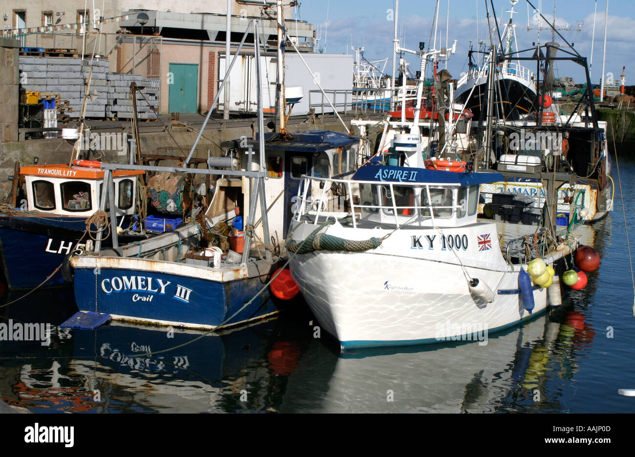 PRAWN FISHING PITTENWEEM HARBOUR FIFE SCOTLAND UK Stock Photo - Alamy