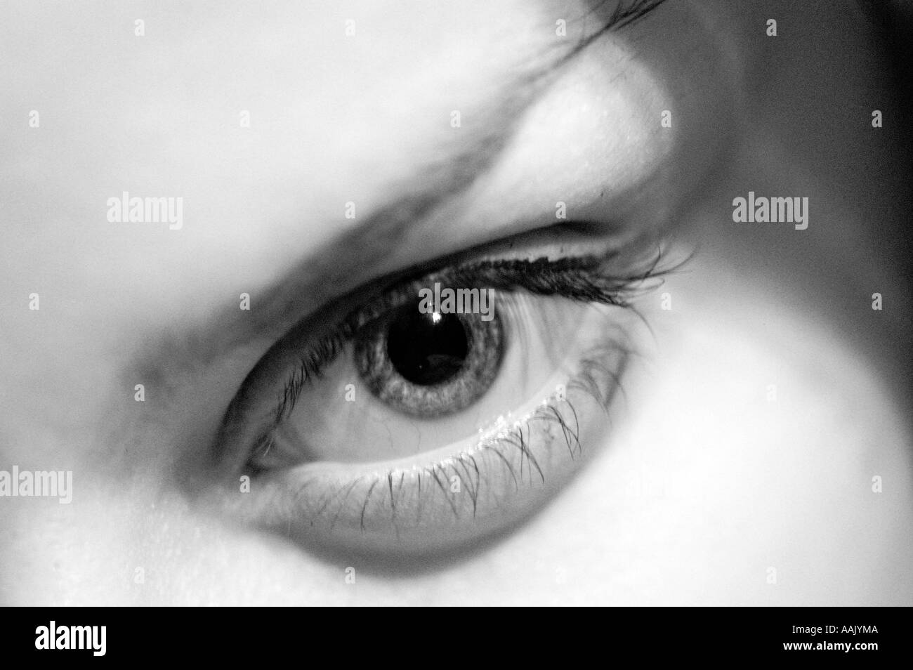eye close up Stock Photo Alamy