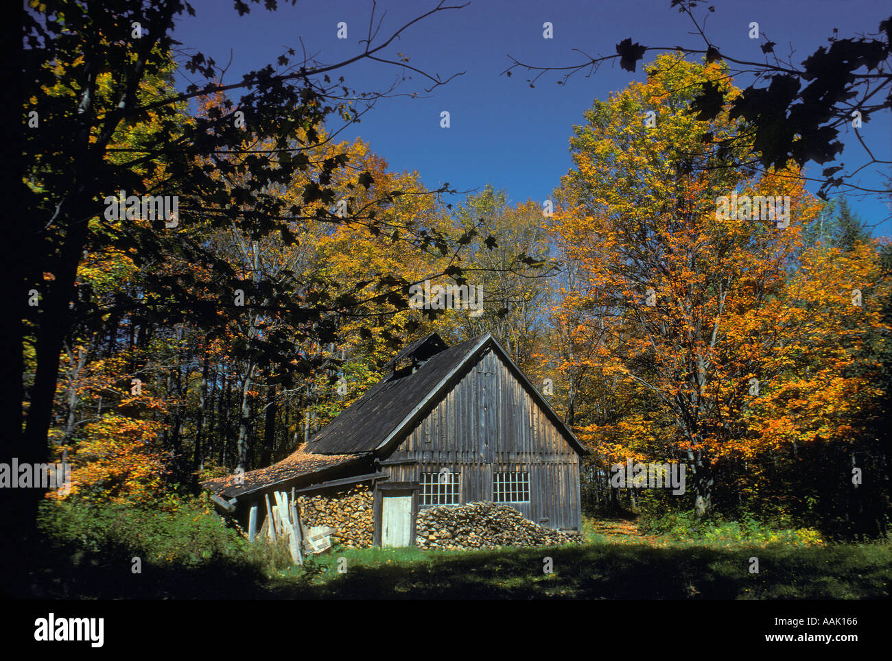 Maple sugar camp hires stock photography and images Alamy