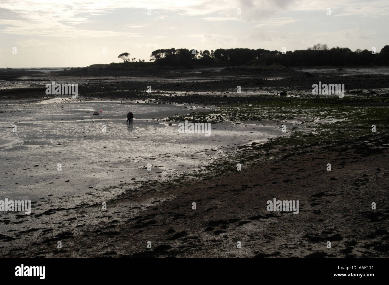 St Clements beach in Jersey Stock Photo Alamy