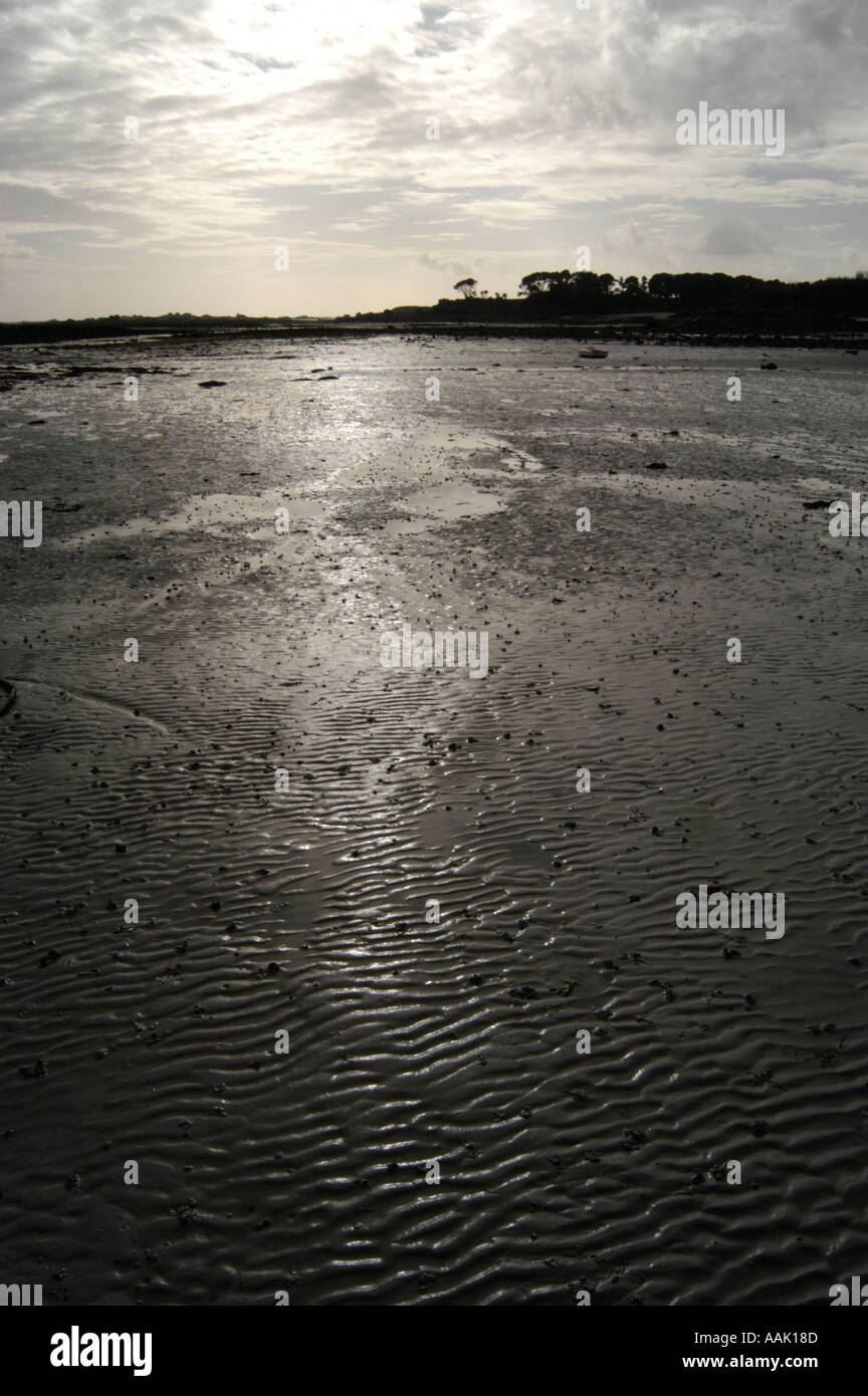 St Clements beach in Jersey Stock Photo Alamy