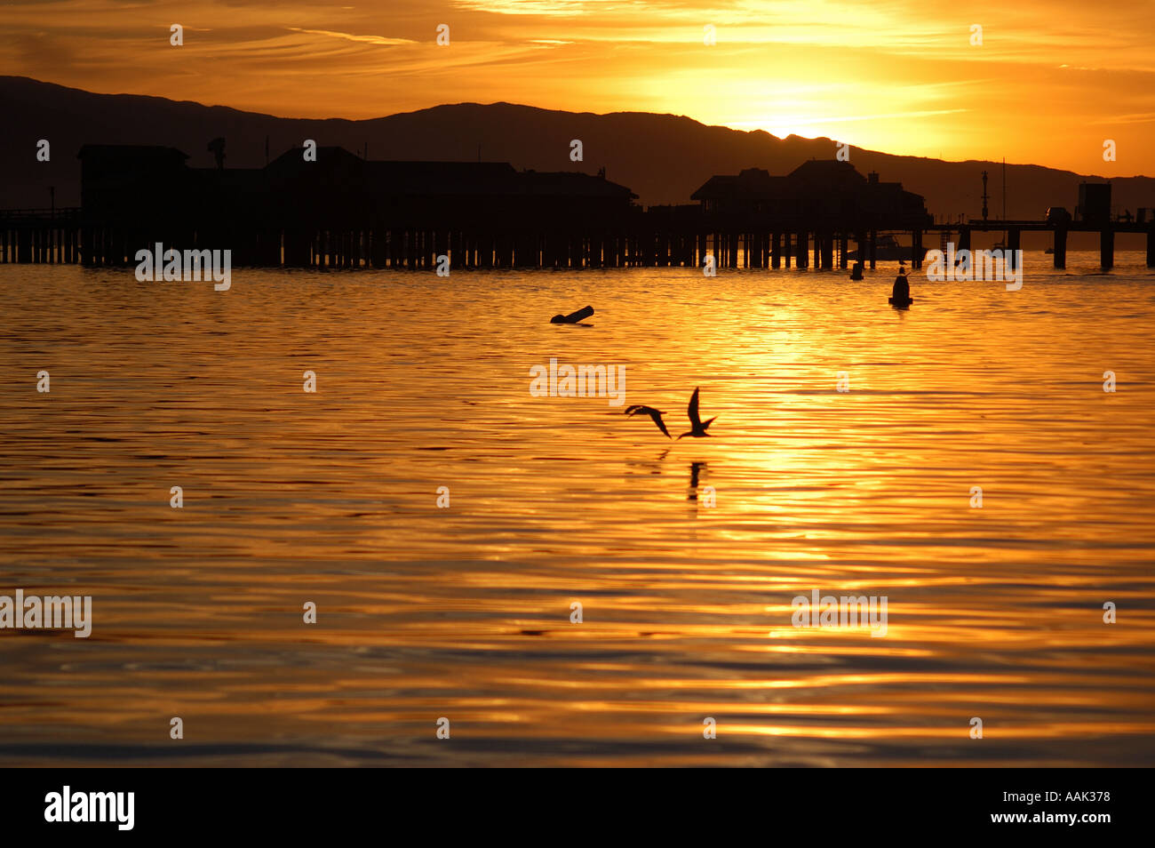 Stearns wharf at sunrise hi-res stock photography and images - Alamy