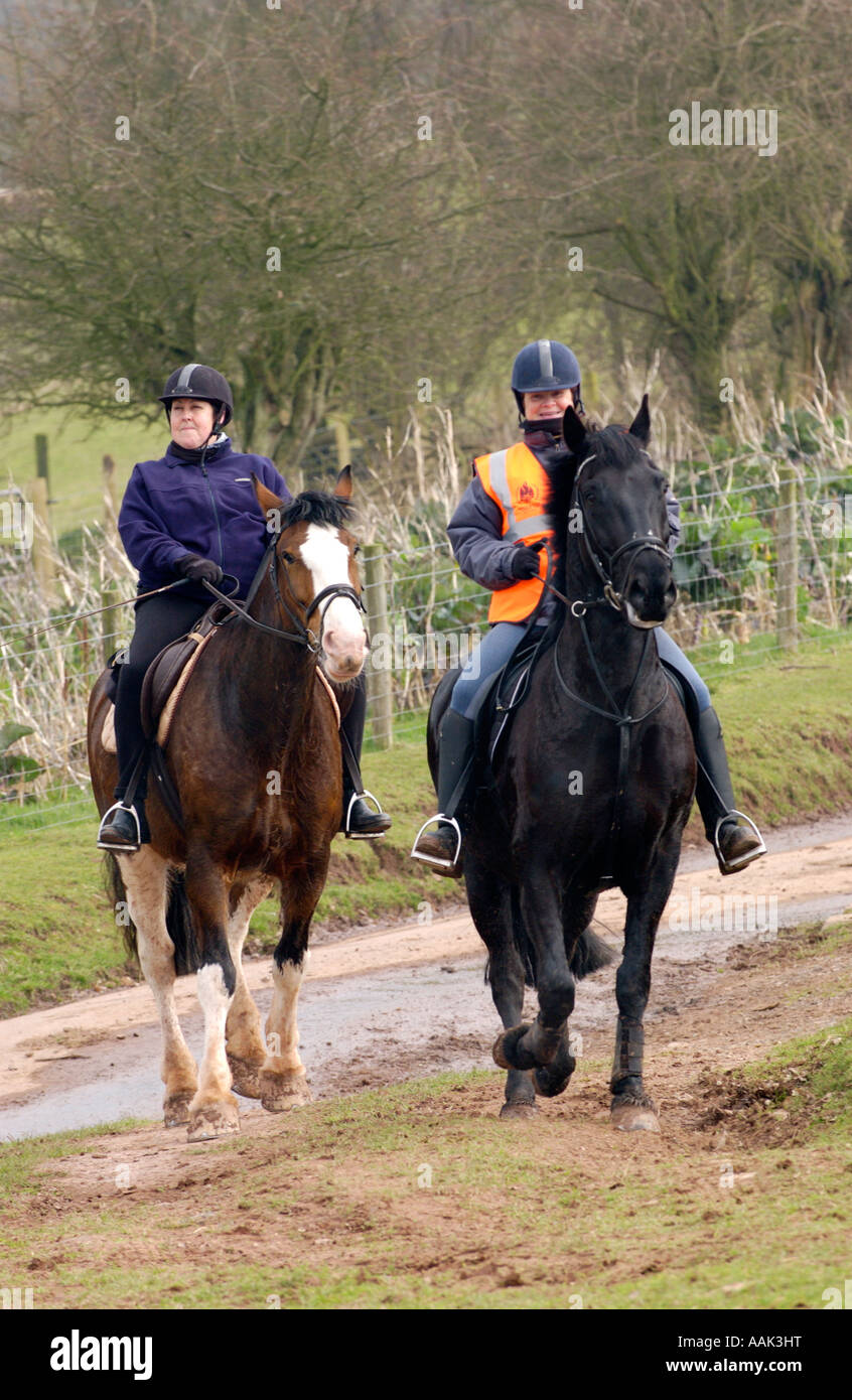 Horse rider on country lane hi-res stock photography and images - Alamy