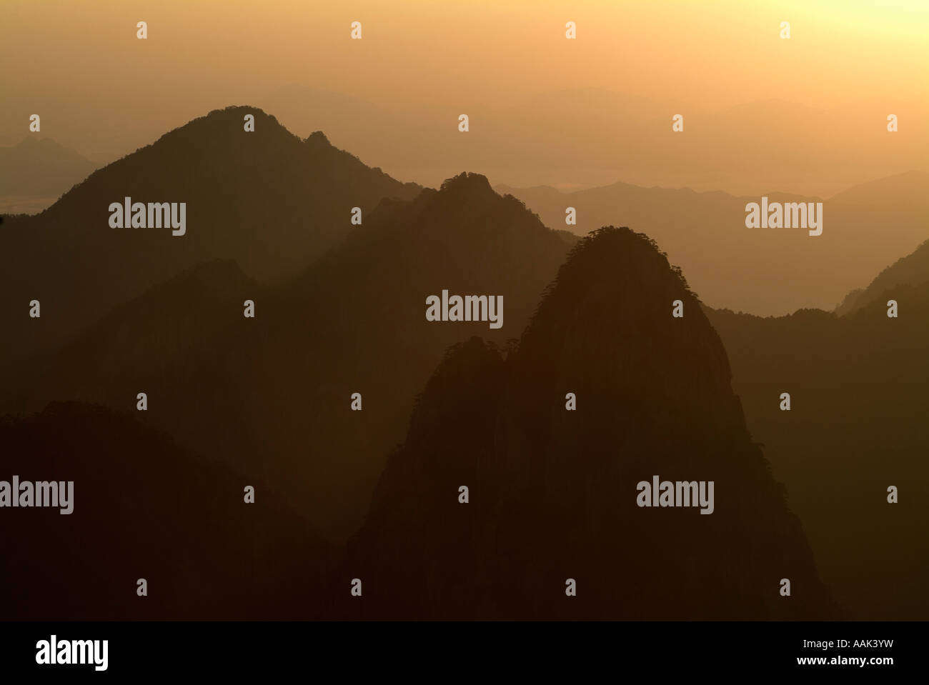 Ten Thousand Pines Forest after sunrise at Mt Huangshan China.  Photo by Chuck Nacke Stock Photo