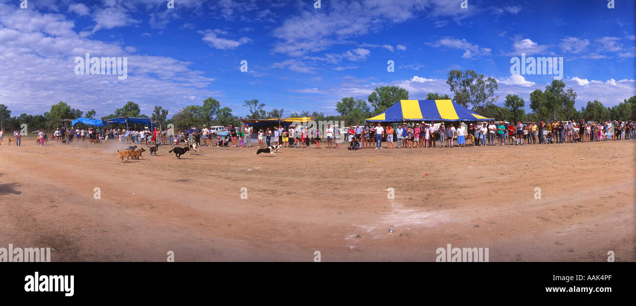 Big Dog Race at Snake Creek Turnout picnic weekend near Normanton Gulf Savannah Queensland Australia panoramic  Stock Photo