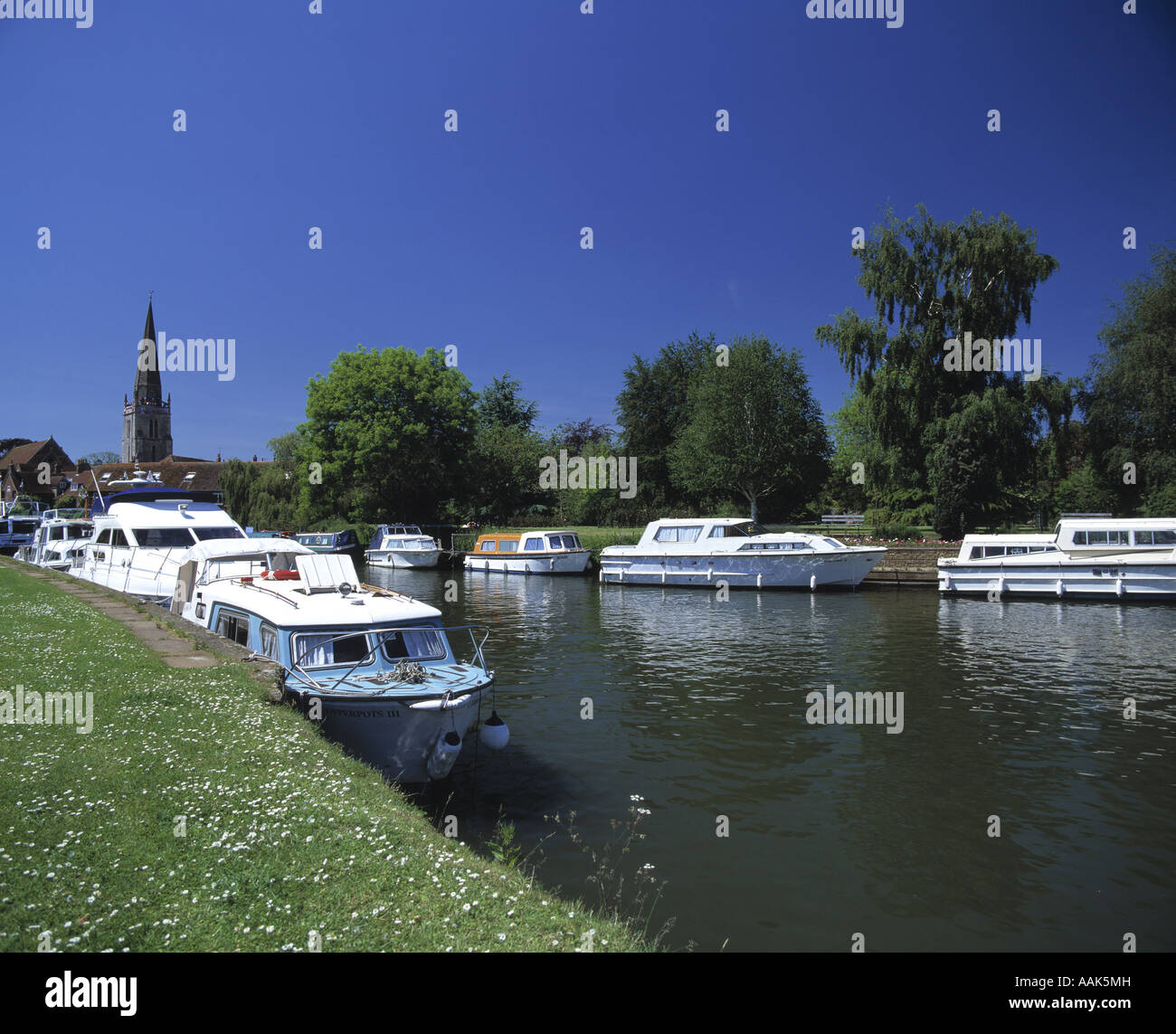 My Image 10