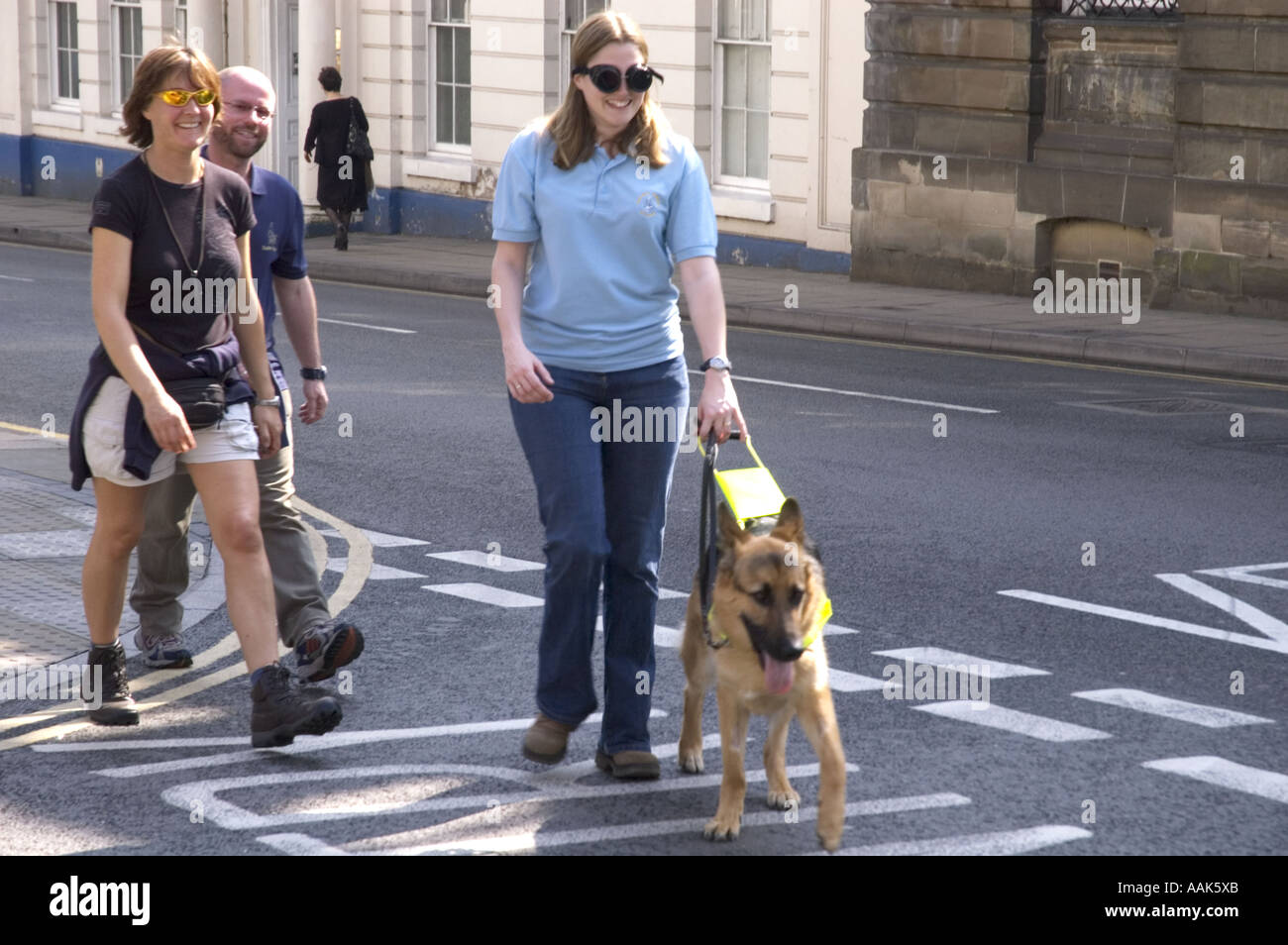training guide dogs for the blind
