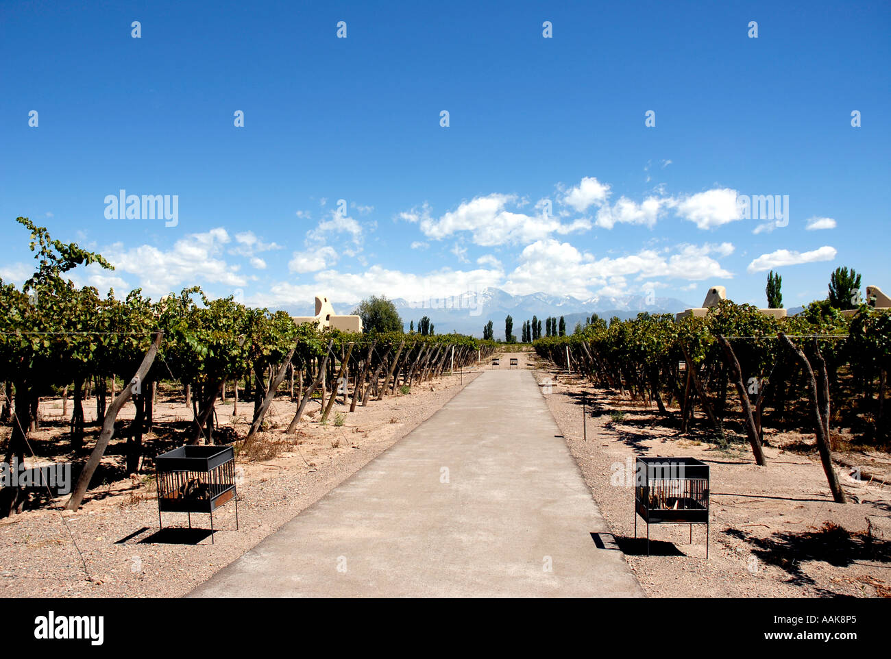 Cavas Wine Lodge Mendoza Argentina Stock Photo