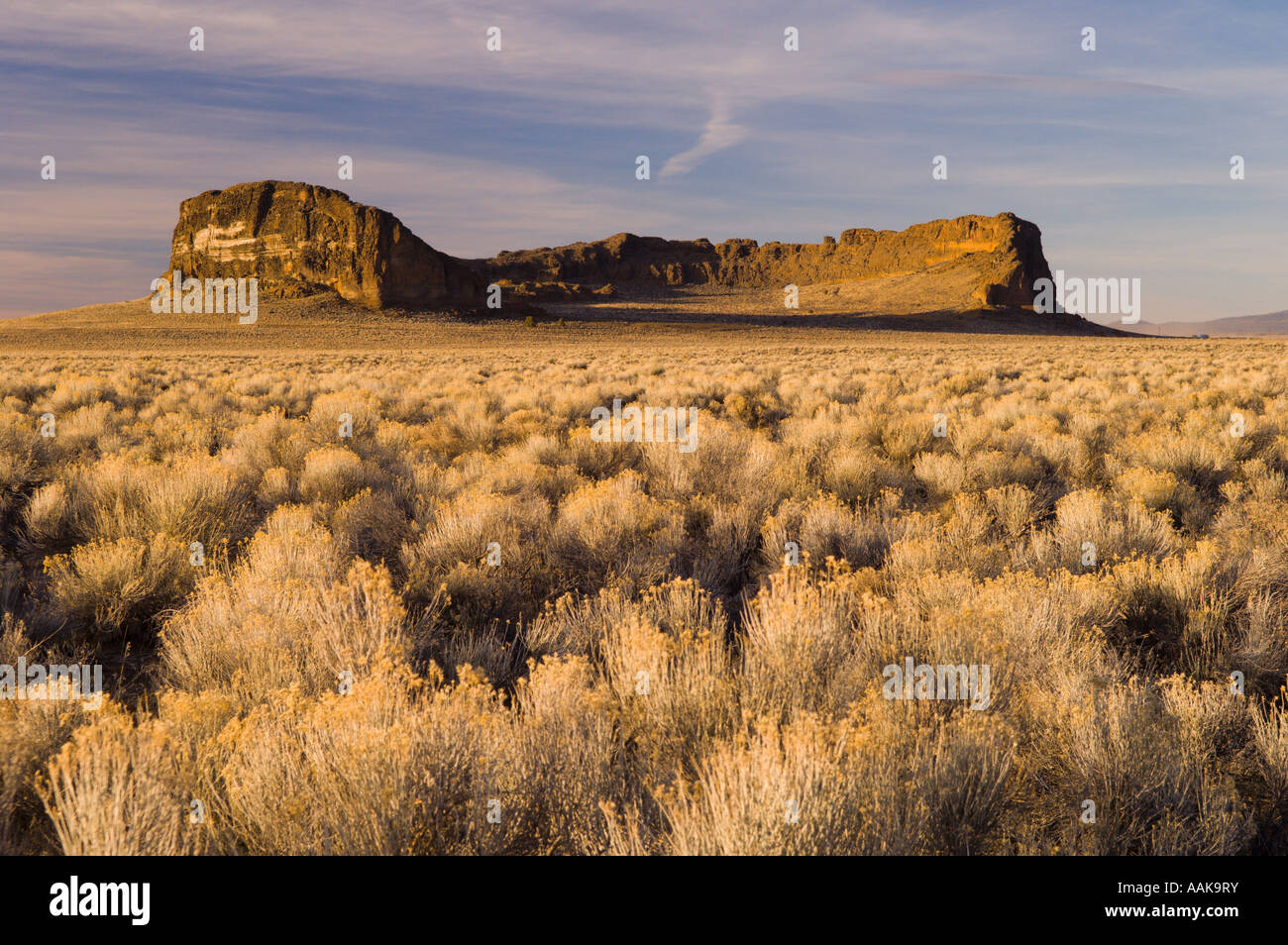 Fort Rock and sagebrush in southern Oregon Stock Photo Alamy