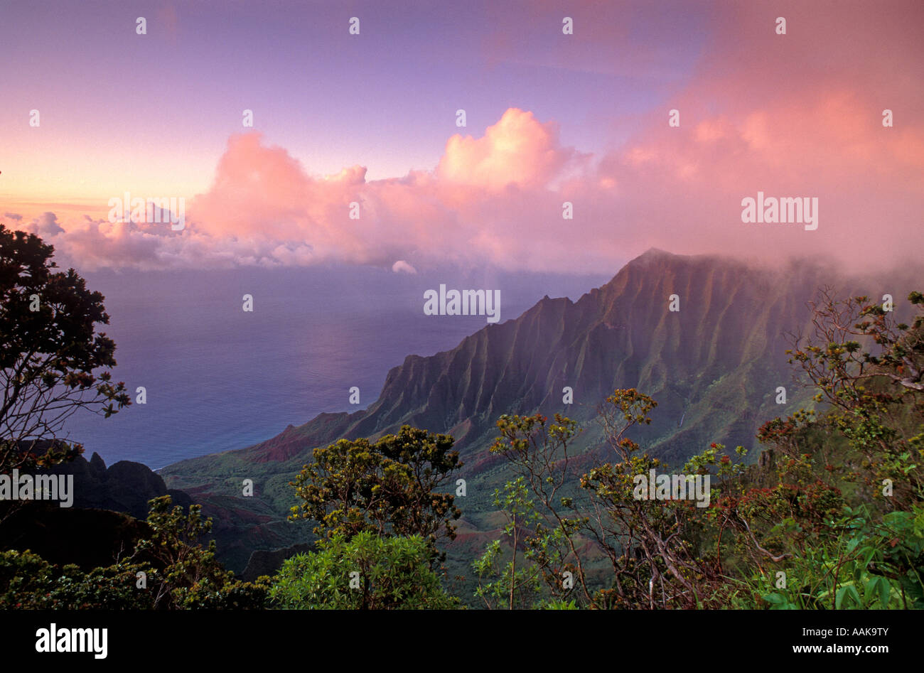 Kalalau Valley at sunset from Kokee State Park lookout Kauai Hawaii
