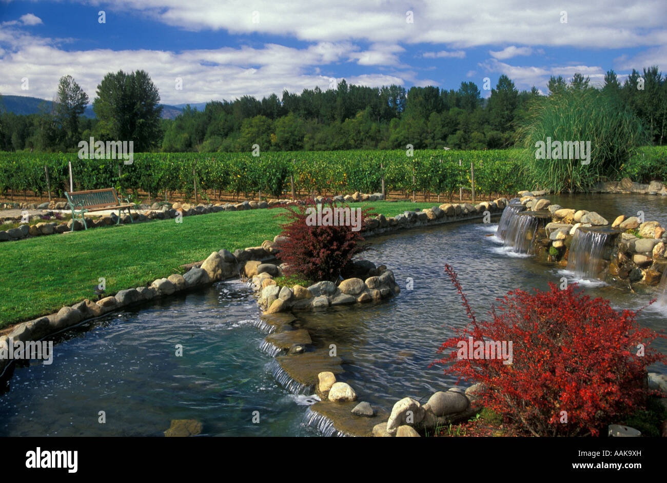 Waterfall and gardens at Bridgeview Vineyards winery Cave Junction Illinois River Valley southern Oregon Stock Photo