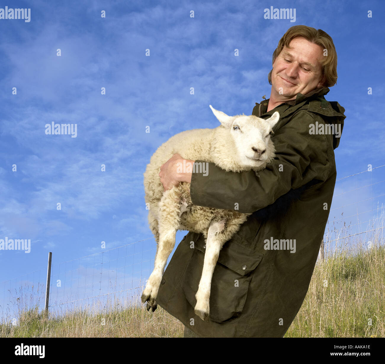 Shepherd with sheep Stock Photo