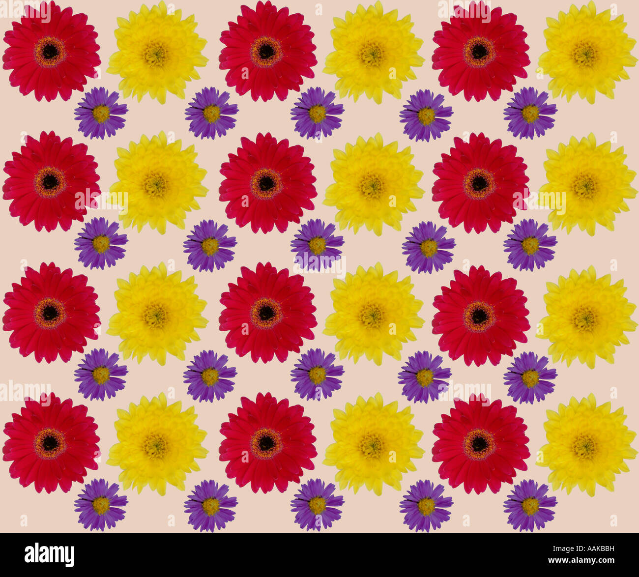 Flower background Stock Photo