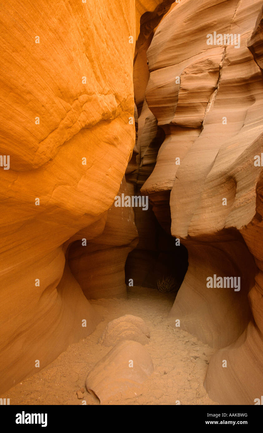 Antelope Canyon A Sandstone Slot Canyon In Southern Utah Stock Photo Alamy