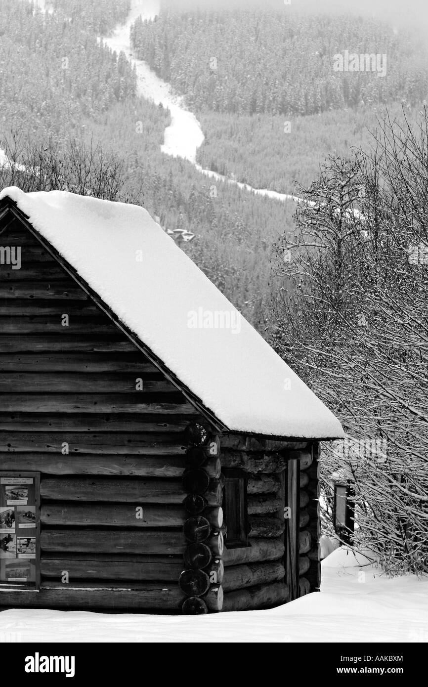 Black and white log cabin Black and White Stock Photos & Images - Alamy