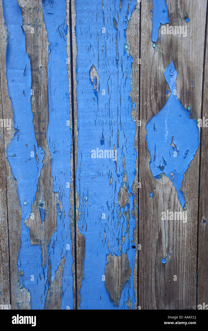 Old Blue Paint Peeling Off Wall Stock Photo 12651665 Alamy