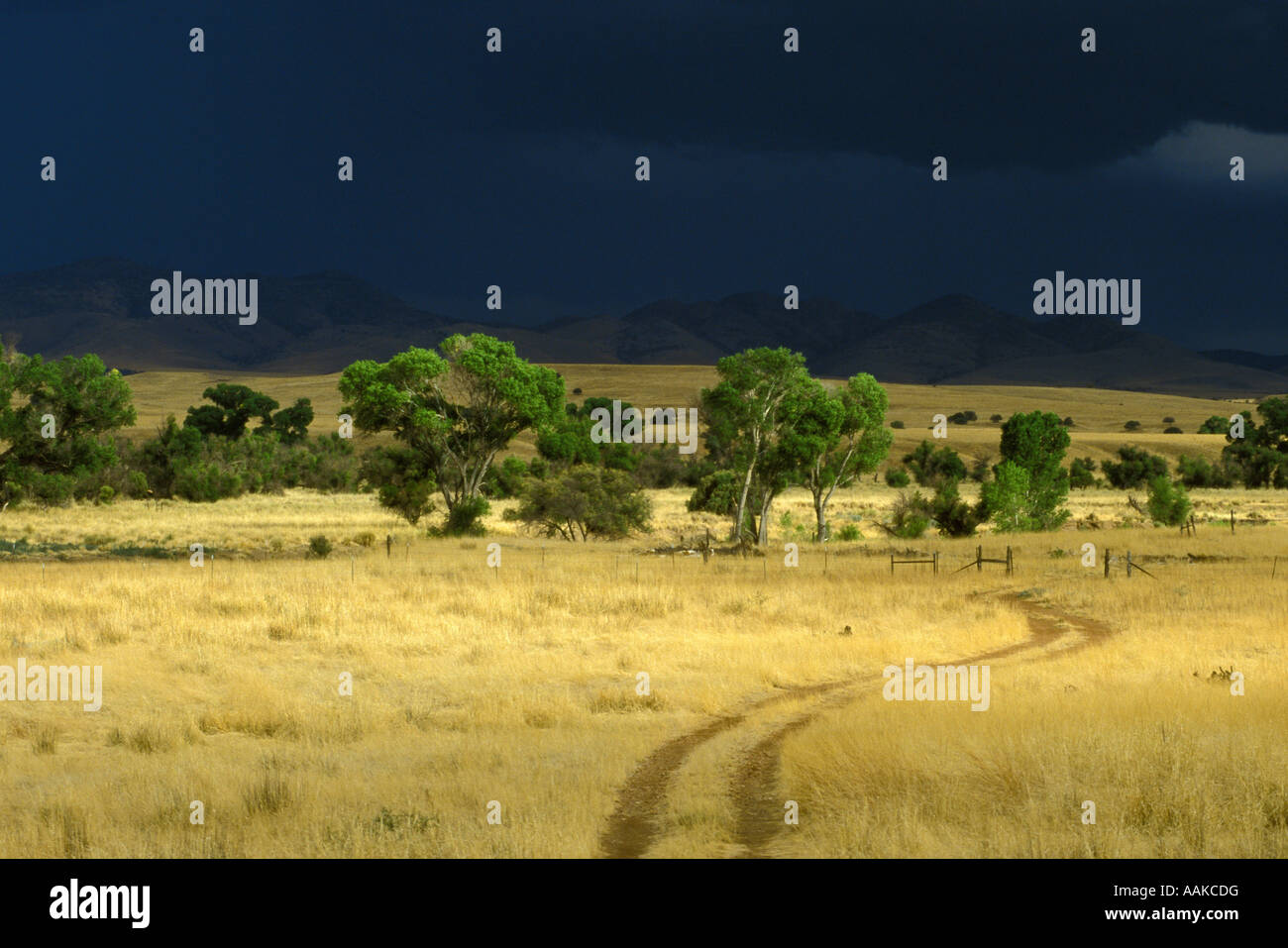A storm approaches in Santa Cruz County Southern Arizona Stock Photo