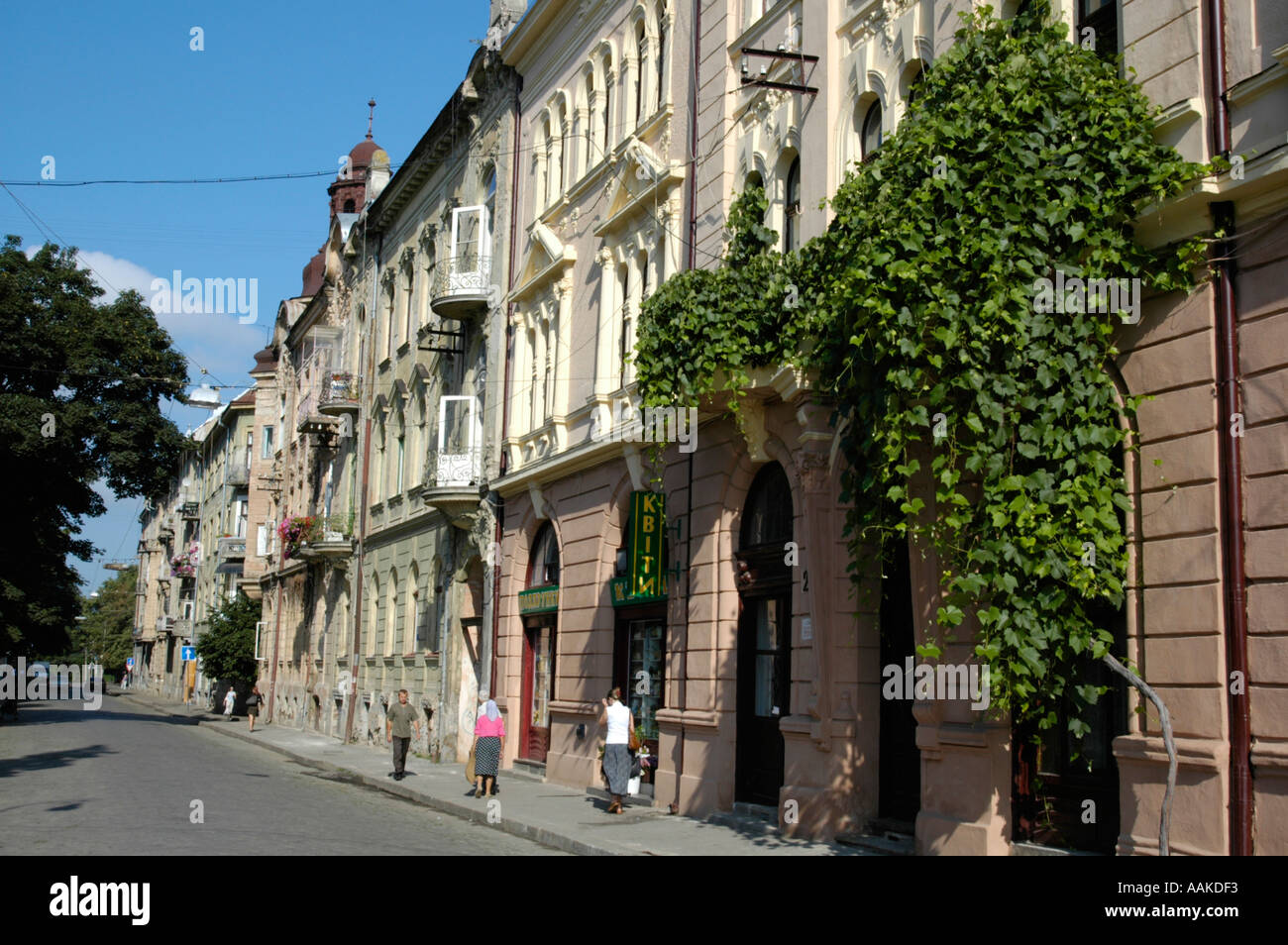 Cernivci, green house facade Stock Photo